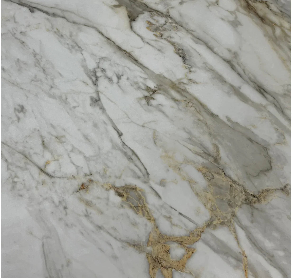 Arianna Black And Gold Marble Dining Table With Black And Gold Bentley Lion Knocker Chaird